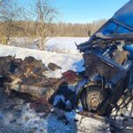 Russians attacked a car with civilians in Sumy region – two people died, one was injured