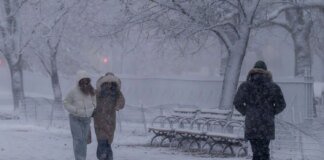 Powerful blizzard paralyzes northeastern US – roads closed, flights canceled