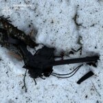 FPV drone on fiber optic cable recorded for the first time in Kharkiv