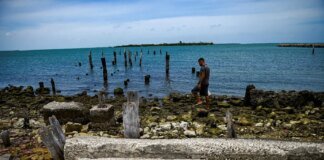 NYT: boat that entered Cuban waters did not belong to Coast Guard or US Navy