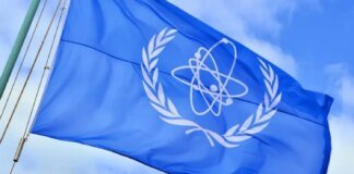 IAEA secured local ceasefire for repair of ZNPP line
