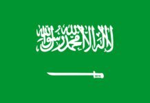 Saudi Arabia calls on world to counter Iran's regime – Foreign Ministry