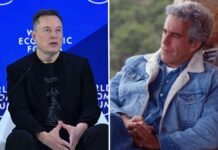 Elon Musk discussed plans to party with Jeffrey Epstein on his Caribbean island, newly released emails show
