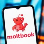 Moltbook is about as fun as watching two Roombas bump into each other