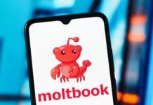 Moltbook is about as fun as watching two Roombas bump into each other