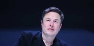 Elon Musk says Anthropic’s philosopher has no stake in the future because she doesn’t have kids. Here’s her response.