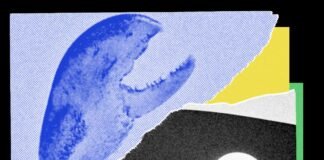 OpenClaw Users Are Allegedly Bypassing Anti-Bot Systems