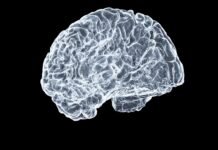 Why doctors believe this new AI system will end MRI wait times