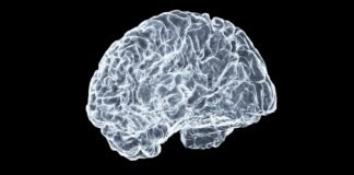 Why doctors believe this new AI system will end MRI wait times