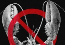 Meta and Other Tech Companies Ban OpenClaw Over Cybersecurity Concerns