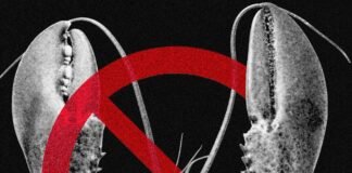 Meta and Other Tech Companies Ban OpenClaw Over Cybersecurity Concerns