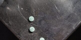 An FBI ‘Asset’ Helped Run a Dark Web Site That Sold Fentanyl-Laced Drugs for Years