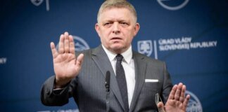 Slovakia decided to stop emergency electricity supplies to Ukraine – what is known