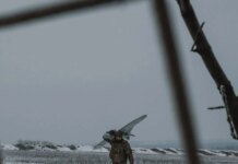 General Staff on the front situation: 117 combat engagements took place, the enemy launched over 4.6 thousand kamikaze drones