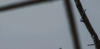 General Staff on the front situation: 117 combat engagements took place, the enemy launched over 4.6 thousand kamikaze drones