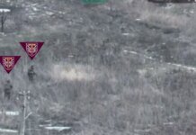 Paratroopers of the 77th Airmobile Brigade showed the elimination of a group of occupiers near Zahryzove in the Kupyansk direction