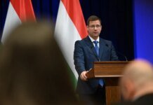 Budapest names condition for return of money seized from Ukrainian collectors