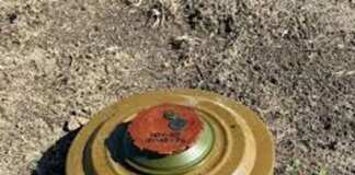 In February, almost 700 occupiers were eliminated on minefields – General Staff