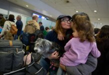 Greece evacuated citizens along with their pets from the war zone in the Middle East