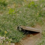 Russians started dropping mines from Shahed drones on Ukrainian territory – advisor to the Minister of Defense