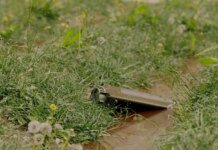 Russians started dropping mines from Shahed drones on Ukrainian territory – advisor to the Minister of Defense