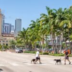 The Silicon Valley to Miami pipeline — by the numbers