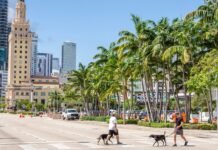 The Silicon Valley to Miami pipeline — by the numbers