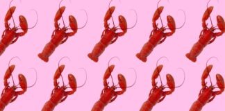 From lobster hats to claw hands: OpenClaw’s internet moment