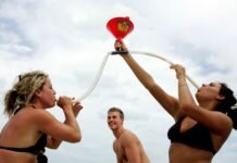 You don’t need an AI degree to land an AI-powered internship