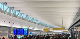 Travelers describe airport chaos as unpaid TSA agents stop showing up: ‘The line is coming from all directions’