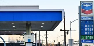 3 things policymakers can do to fight an oil-driven inflation spike, according to the OECD