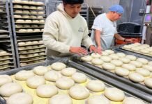 How one factory supplies NYC’s corner store delis