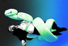 Can AI Kill the Venture Capitalist?