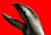 China’s OpenClaw Boom Is a Gold Rush for AI Companies