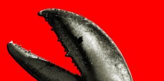China’s OpenClaw Boom Is a Gold Rush for AI Companies