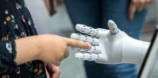 Who should be responsible for putting AGI into humanoid robots?