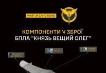 "Prince Oleg the Seer" under the microscope – HUR showed a new Russian UAV