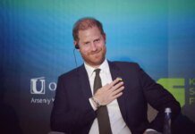 Ukraine is at the forefront of modern warfare, developing advanced drones – Prince Harry