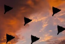 Russia launched 144 strike drones: Air Force destroyed over 120 targets, hits on 11 locations