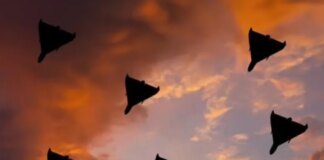 Russia launched 144 strike drones: Air Force destroyed over 120 targets, hits on 11 locations