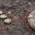 Enemy remotely mined the area near a school in Kherson – Mayor