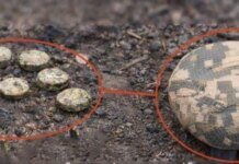 Enemy remotely mined the area near a school in Kherson – Mayor