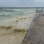 Black Sea oil pollution: ecologist explains consequences of Russian strike on port infrastructure