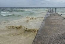 Black Sea oil pollution: ecologist explains consequences of Russian strike on port infrastructure