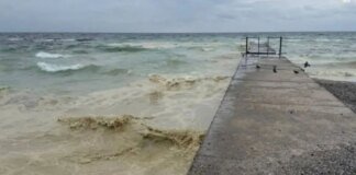 Black Sea oil pollution: ecologist explains consequences of Russian strike on port infrastructure