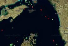 Traffic appears to halt in the Strait of Hormuz