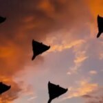Air Defense Shot Down 102 out of 124 UAVs During Night Attack on May 23