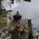 Between fire and explosions: how the war changed the daily lives of Ukrainian rescuers