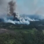 Russian troops are massively setting fire to Ukraine's border forests and destroying observation towers, video