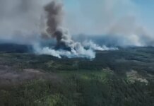 Russian troops are massively setting fire to Ukraine's border forests and destroying observation towers, video